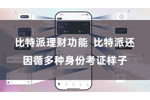 比特派理财功能  比特派还因循多种身份考证样子