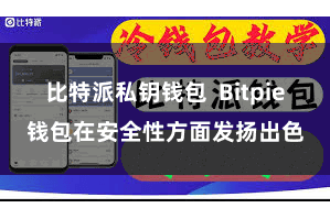 比特派私钥钱包 Bitpie钱包在安全性方面发扬出色