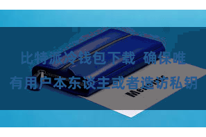 比特派冷钱包下载  确保唯有用户本东谈主或者造访私钥